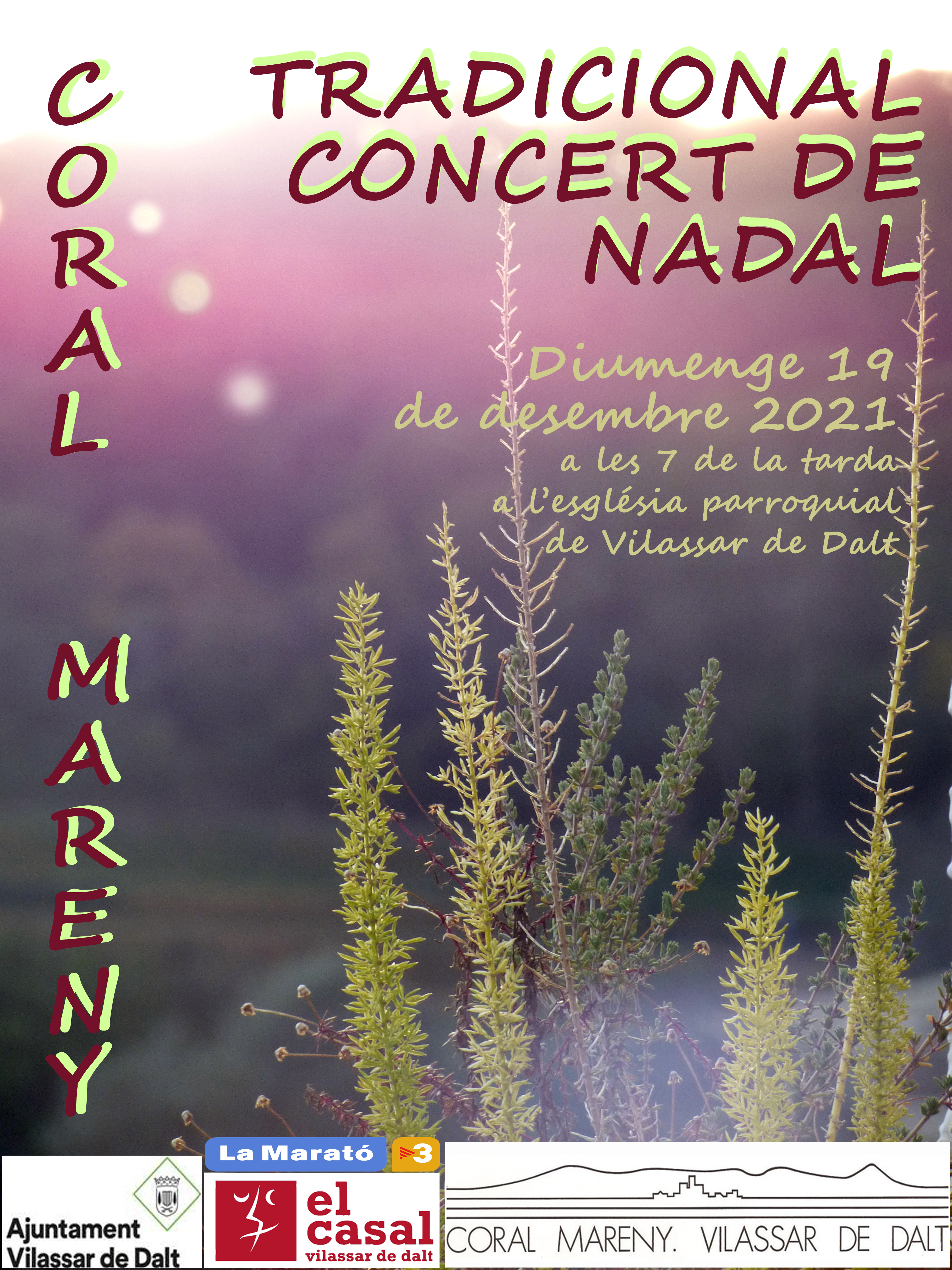 Concert de Nadal de la Coral Mareny