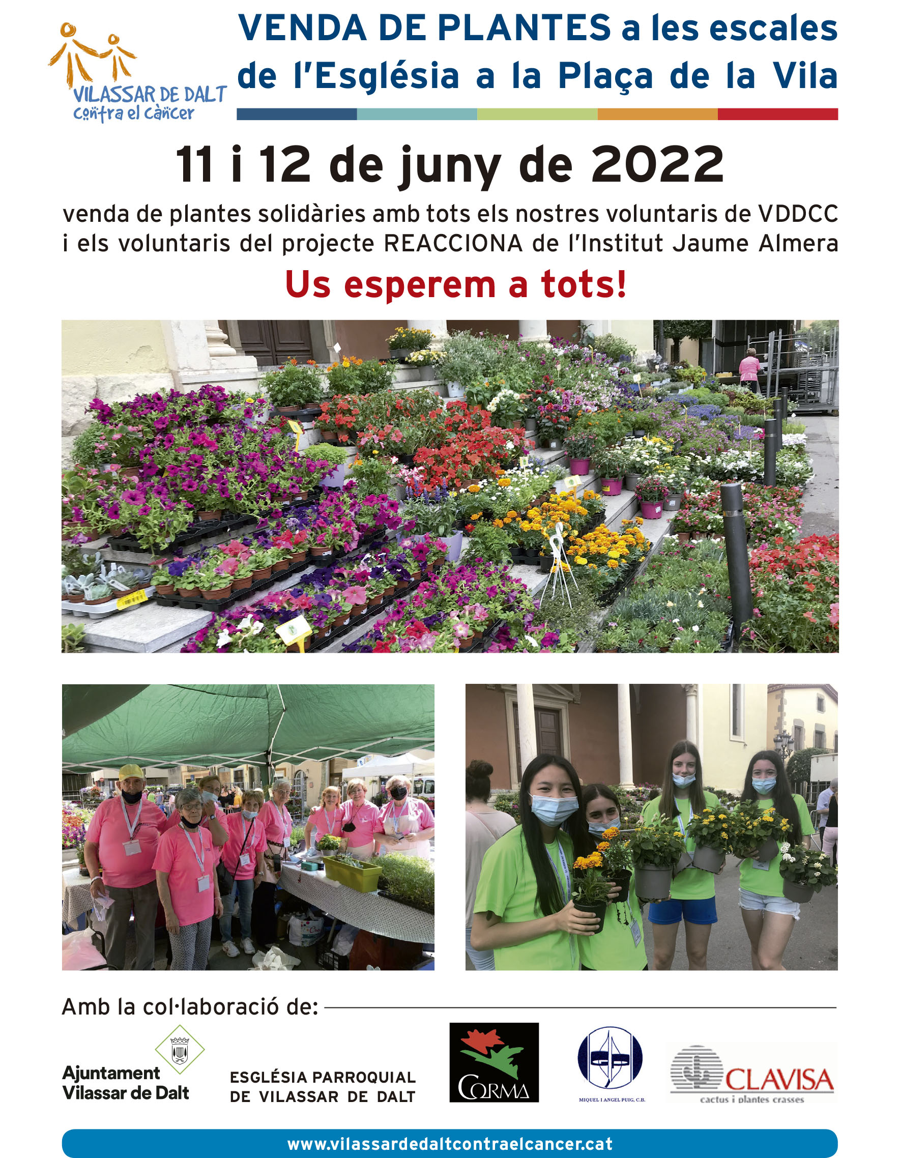 Venda solidària de plantes