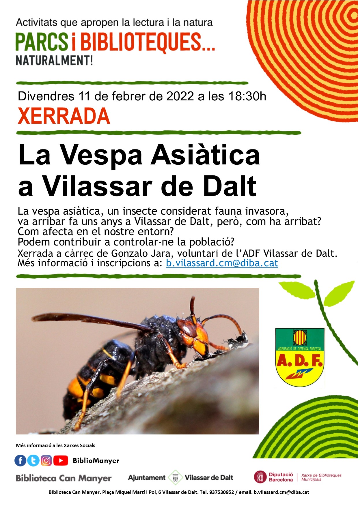 Xerrada: La vespa asi&agrave;tica a Vilassar de Dalt