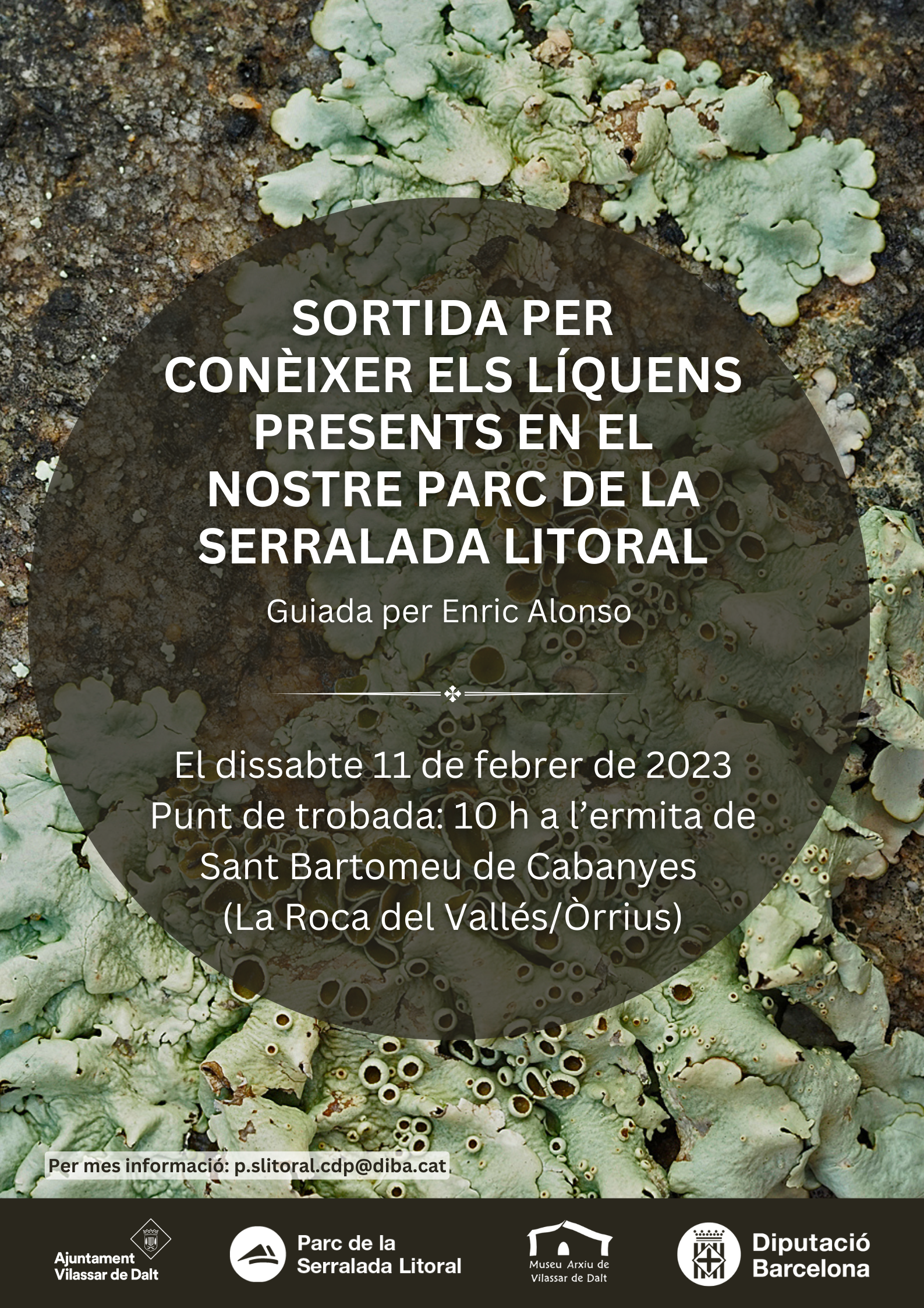 Sortida per conèixer els líquens del Parc Serralada Litoral