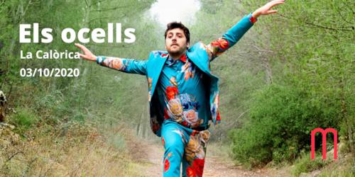 Els Ocells al Teatre La Massa