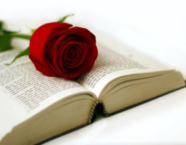 sant jordi