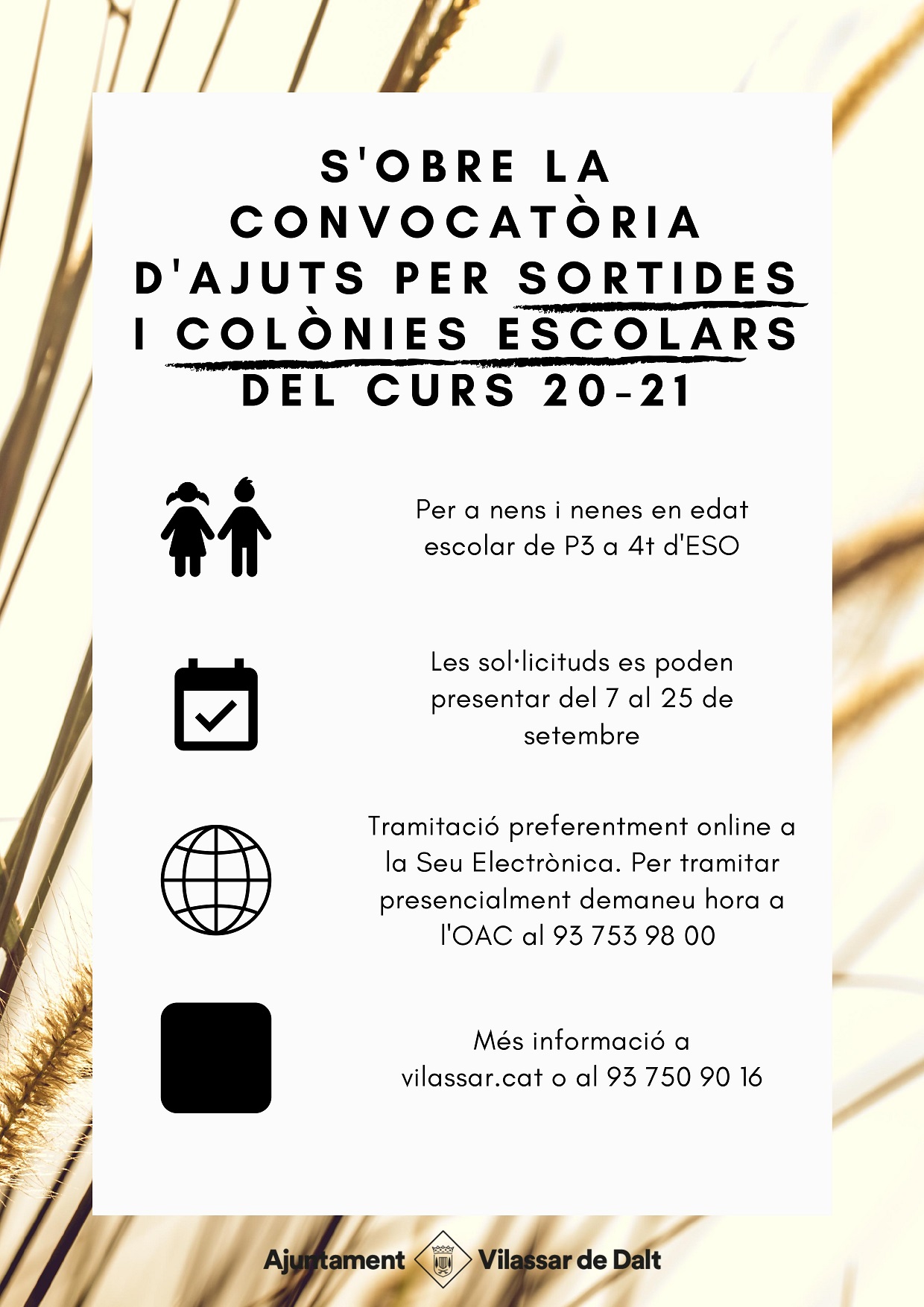 beques colonies 2020