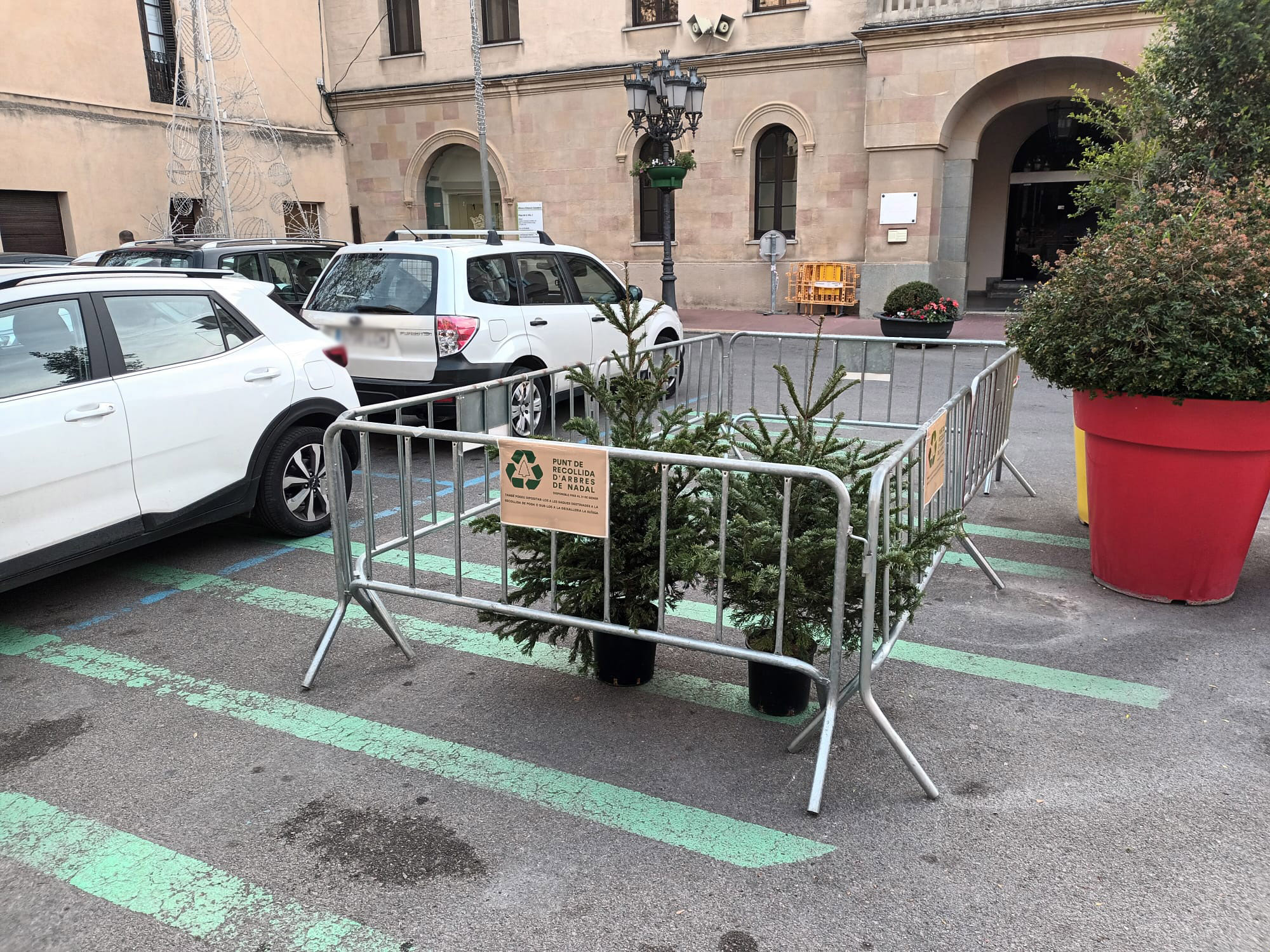 Campanya de recollida d'arbres de Nadal