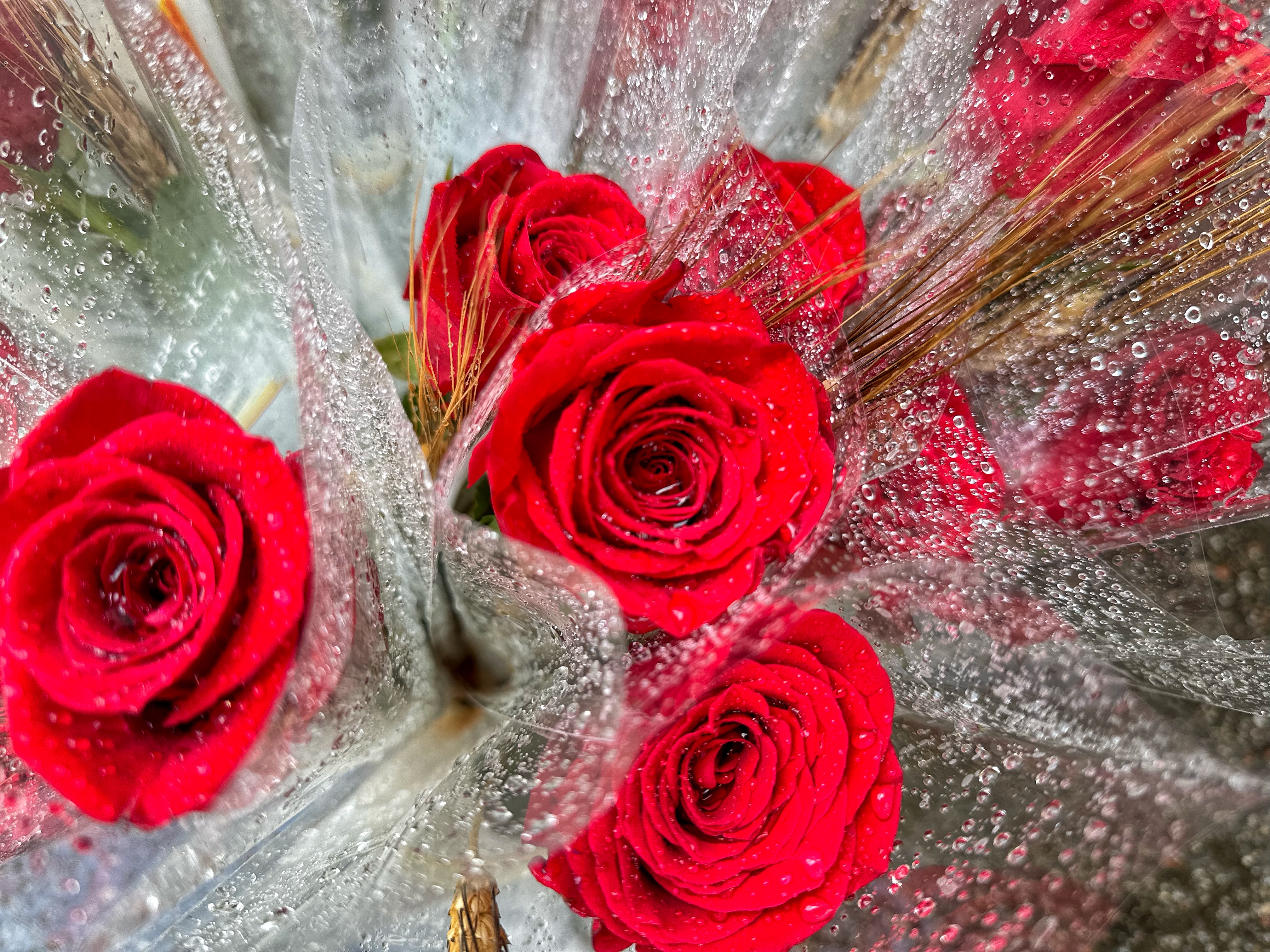 Vilassar viu un Sant Jordi marcat pel fred el sol i la pluja