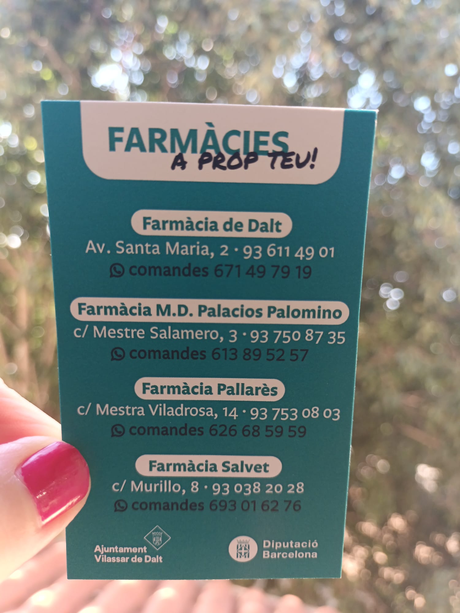 Nous imants amb la informació de les farmàcies del municipi